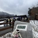 솔마을펜션 | [국내여행/전북 무주]덕유산 곤도라 당일치기 아이들과 눈꽃여행 (곤도라 사전예약 필수)