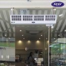 계림청과 Daum카페