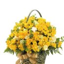 금공농장 이미지