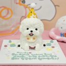 마닐마닐 수제간식 이미지