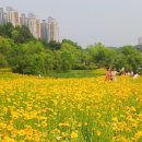 고인돌공원 네이버블로그