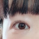 080안경 | 위드렌즈 뉴트럴무드렌즈 080안경 위드렌즈 하단동아대점에서 만나기