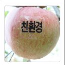 고향풍년 이미지