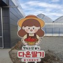 다은농장 | 241227 일상기록 [ 하얼빈 영화 / 진주 양식집 살롱드인사 / 다은딸기 체험농장 ]
