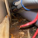 군산 누수&하수 | 군산누수하수구 사업장 하수구 작업