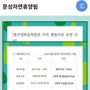 자연휴양림 깊은 물놀이장 이미지