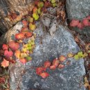 우리들어린이집 이미지