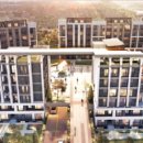 디에이치 이미지