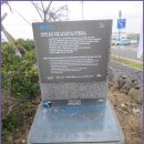 조천체육관 이미지