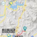 총각닭집 이미지