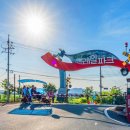 광포전자 이미지