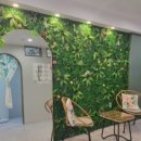 숲속세신 이미지