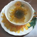 허브나래 이미지