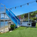 메르베르스파애견펜션 이미지