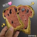 마을기업 씨앗 | [ 함안 ] 별별농부 수박식빵 러스크 내돈내산 후기 🍉