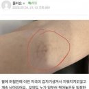 세상의 진실 육각형과 수레바퀴 이미지