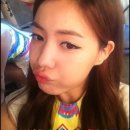팀아라 이미지