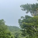 영남떡집 이미지