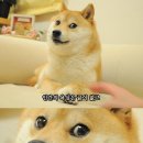 꿈애오토캠핑장 이미지