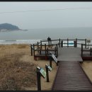 학암포 분점도 이미지