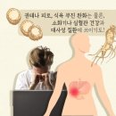 광명인삼 이미지