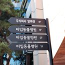 대전종합 동물병원 네이버블로그