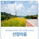선창농촌체험휴양마을