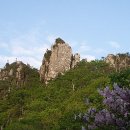 우크&기타 이미지