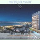 쿠준 | 오키나와 호텔 추천 알라 쿠주! 인생샷 보장 후기