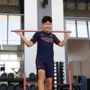 피티바이패스 이미지