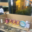 엔젤인어항 이미지