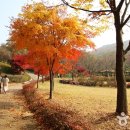 진천명품 휴미락캠핑장 이미지