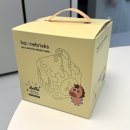 큐브 | 내돈내산 하베브릭스 변신큐브 구매후기👶🏻