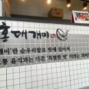 홍대개미 이미지