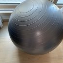 버스트 GYM | 스포츠 짐볼, Gym Ball 추천 - 멜킨스포츠 짐볼, 65cm, 55cm 구입 및 이용후기