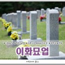 이화벌초