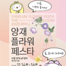 피어;나