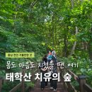 태학산 자연휴양림 치유의 숲 프로그램 예약 할인 정보 다녀온 후기 총정리