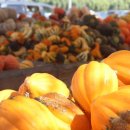 학당농장 이미지