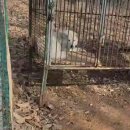 보내농장 이미지