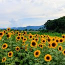 남천둔치2 이미지