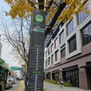 서울지역시설환경관리노동조합평원지부 | 20251124월2: 삼청공원 숲해설을 듣고...