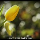 I can't stop loving you - Ray charles 이미지