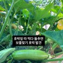 누리달아흐레