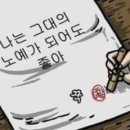동물병원 산책 이미지