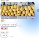 선교로 | 25.08.07~08.11 필리핀 단기선교 후기