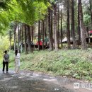 주작산자연휴양림