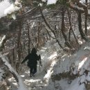금산사길 이미지