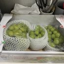 세명한의원 이미지