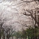 통정3리 마을회관 이미지